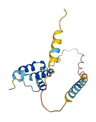 ALKAL2 3D structure
