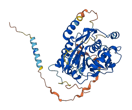 B3GNT9 3D structure