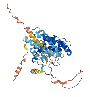 C16orf89 3D structure