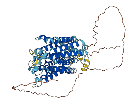 SLC49A3 3D structure