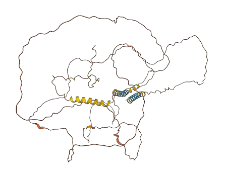 TMEM108 3D structure