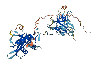 CLEC18B 3D structure