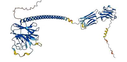 BTNL9 3D structure