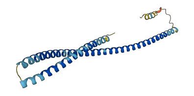 ANGPTL8 3D structure