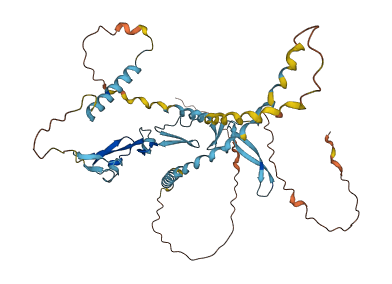 CCBE1 3D structure