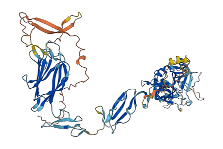 PAMR1 3D structure