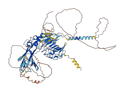 ISLR2 3D structure