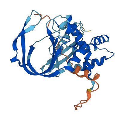 SERPINA13P 3D structure
