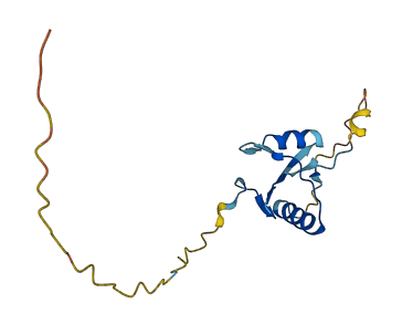 CLEC19A 3D structure