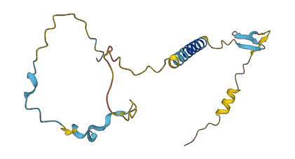 TMEM92 3D structure