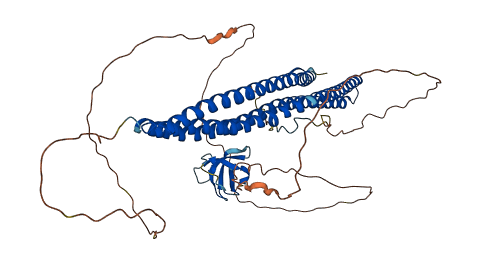 BAIAP2L2 3D structure