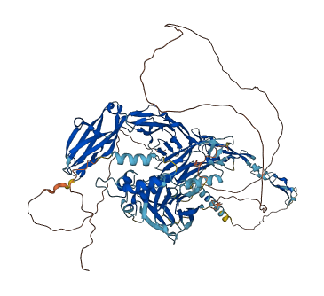UNC5D 3D structure
