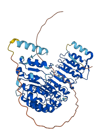 LRRC31 3D structure