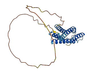 DLEU7 3D structure