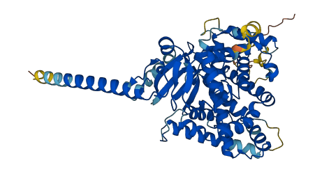 CYP26C1 3D structure