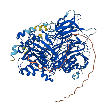 DPP8 3D structure