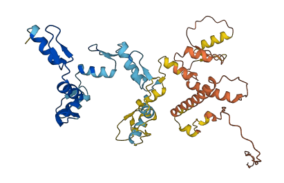 ZNF562 3D structure