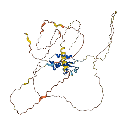 FOXD4L3 3D structure