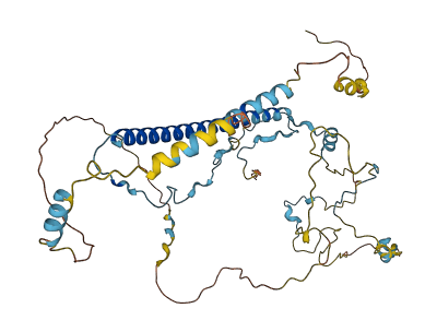 WASH2P 3D structure