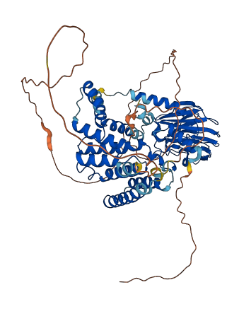RANBP10 3D structure