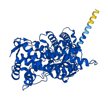 CYP2R1 3D structure