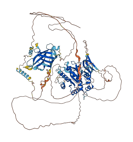 PACS1 3D structure