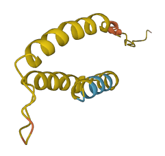 LINC00575 3D structure