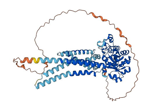 GDPD4 3D structure