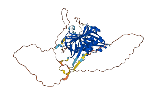 RAD9B 3D structure