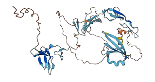 CHRDL2 3D structure