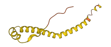 HEPN1 3D structure