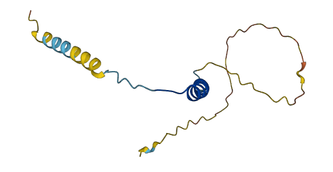C12orf54 3D structure