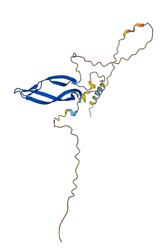 SOSTDC1 3D structure