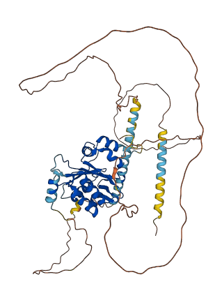 NSMF 3D structure