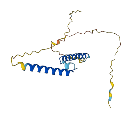 ASCL4 3D structure