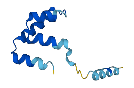 SCGB1D4 3D structure