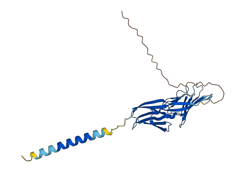 Cd200r4 3D structure