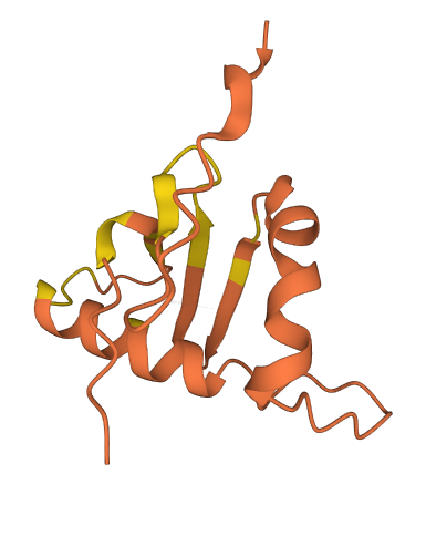 CASC2 3D structure