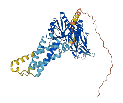 TPTE2 3D structure