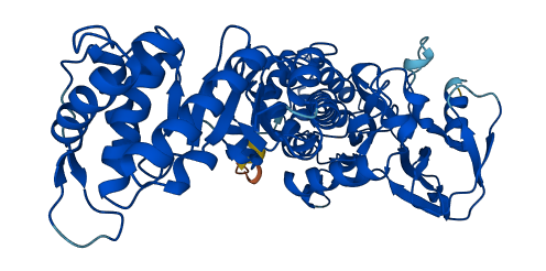 NAPRT 3D structure