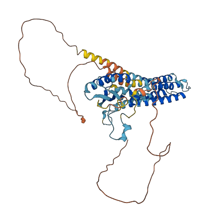 SLC30A10 3D structure