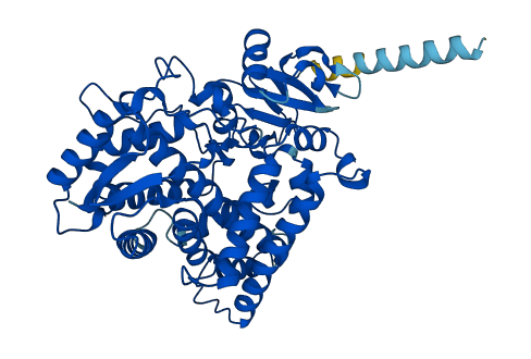 Cyp2c54 3D structure