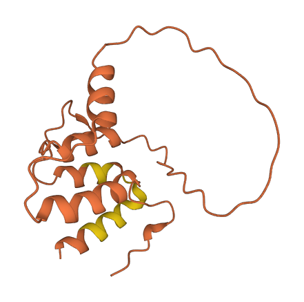 LINC00114 3D structure