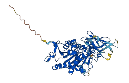 LIPI 3D structure