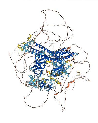 DNMBP 3D structure