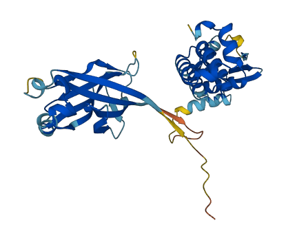 Tdpoz5 3D structure