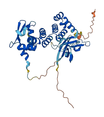 Tdpoz4 3D structure