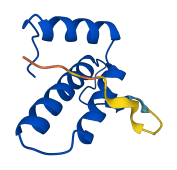COX6B2 3D structure