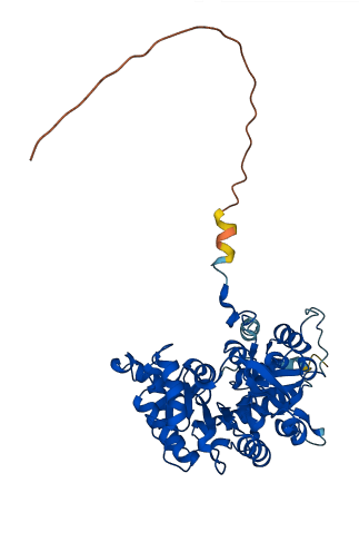 KYAT3 3D structure