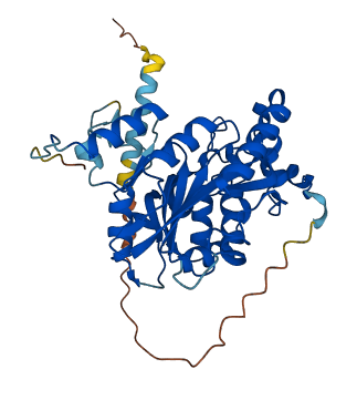 B3GNT6 3D structure
